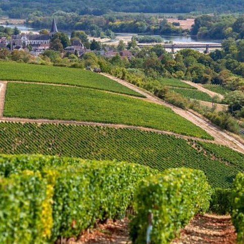 A tour of the Northern Rhône Thursday 20th June 7.00pm Sit-down tasting at Madeleine’s Kitchen
