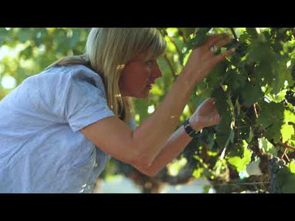 Duckhorn Vineyards Napa Valley Cabernet Sauvignon 2020