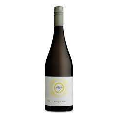 Apricus Hill Sauvignon Blanc Western Australia  - The General Wine Company