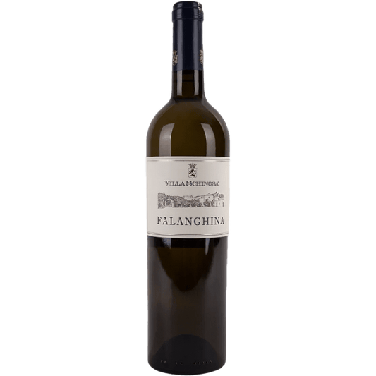 Villa Schinosa Falanghina The General Wine Company