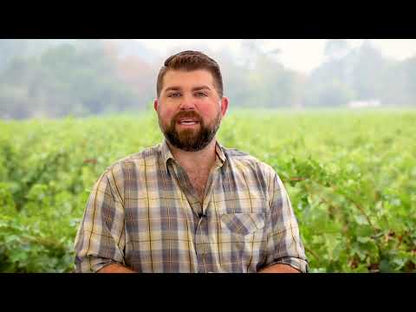 Belle Glos Las Alturas Pinot Noir 2021