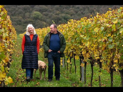 Rathfinny Brut Rosé 2019