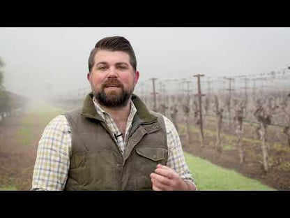 Böen Wines Sonoma, Monterey, Santa Barbara Pinot Noir 2022