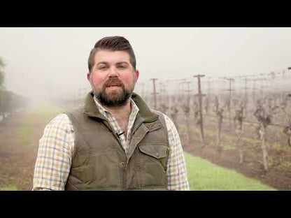 Böen Wines Sonoma, Monterey, Santa Barbara Chardonnay 2021